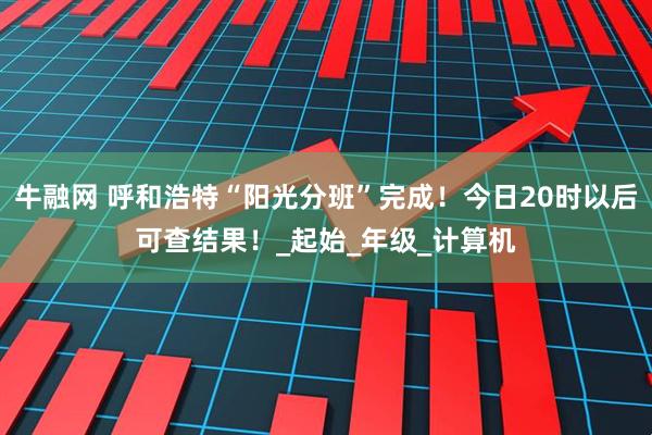 牛融网 呼和浩特“阳光分班”完成！今日20时以后可查结果！_起始_年级_计算机