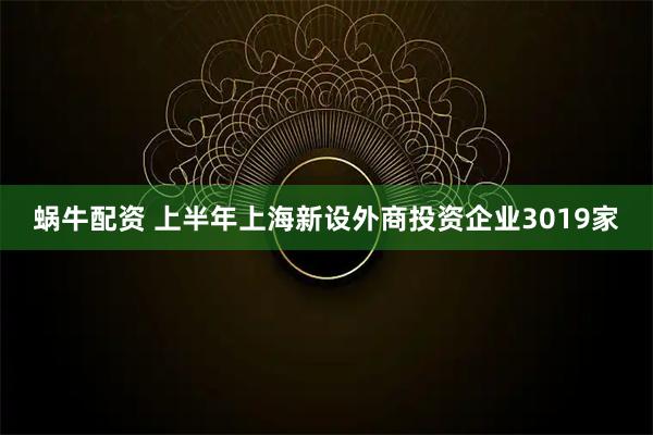 蜗牛配资 上半年上海新设外商投资企业3019家
