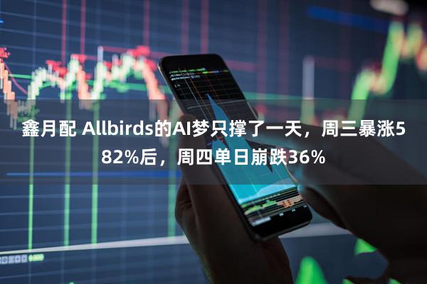 鑫月配 Allbirds的AI梦只撑了一天，周三暴涨582%后，周四单日崩跌36%