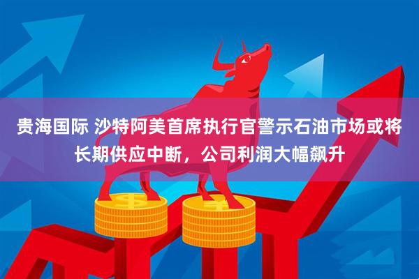 贵海国际 沙特阿美首席执行官警示石油市场或将长期供应中断，公司利润大幅飙升