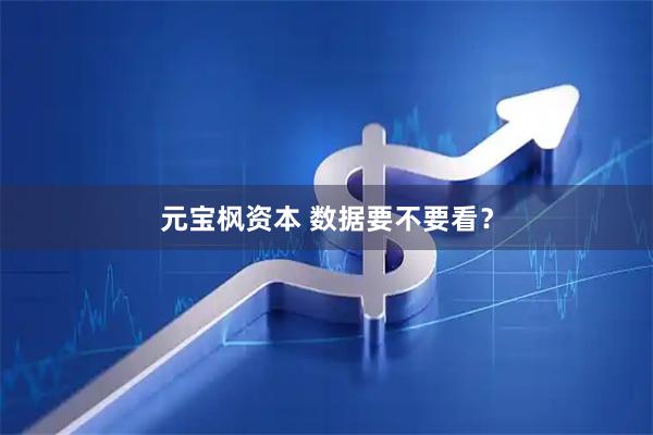 元宝枫资本 数据要不要看？