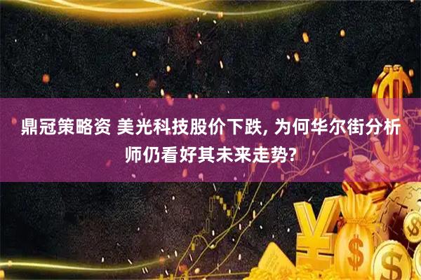 鼎冠策略资 美光科技股价下跌, 为何华尔街分析师仍看好其未来走势?