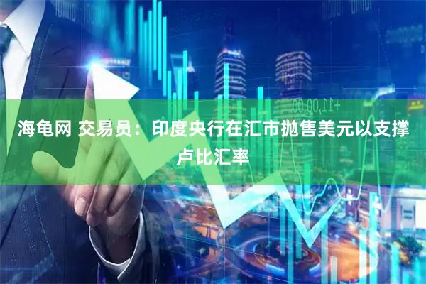 海龟网 交易员：印度央行在汇市抛售美元以支撑卢比汇率