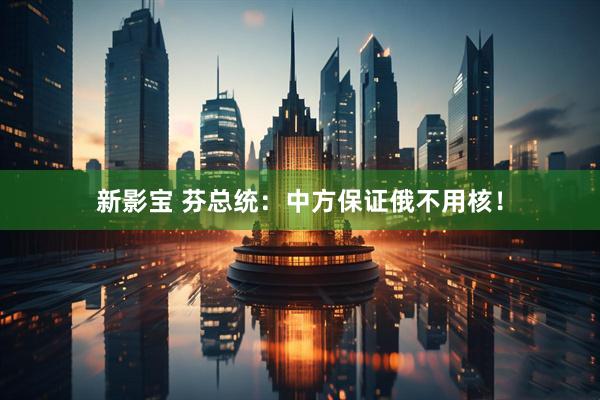 新影宝 芬总统：中方保证俄不用核！
