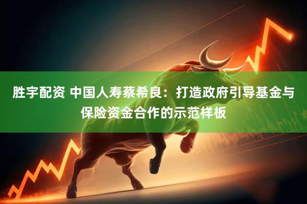 胜宇配资 中国人寿蔡希良：打造政府引导基金与保险资金合作的示范样板